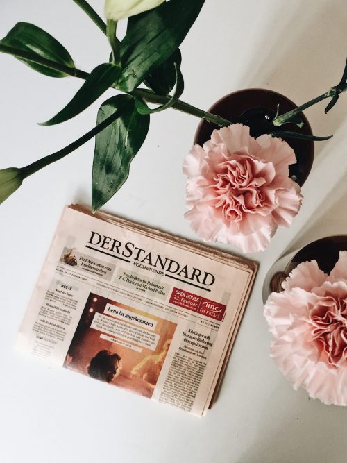 der standard